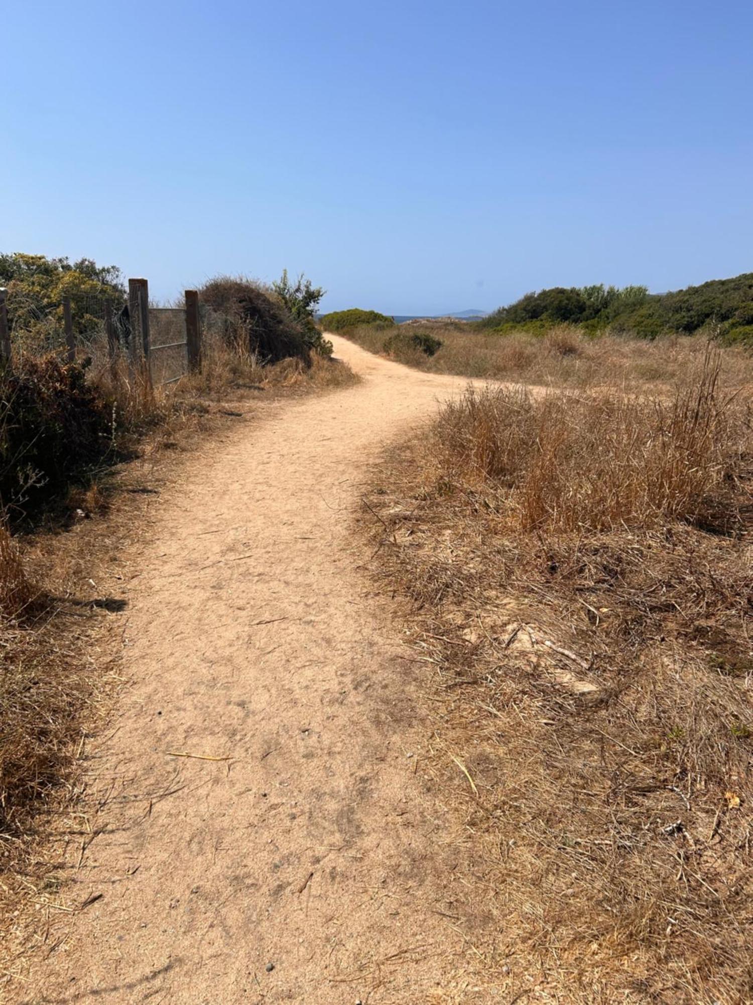 La Belle Vie F4 Bord De Plage Avec Jardin Calcatoggio  Εξωτερικό φωτογραφία