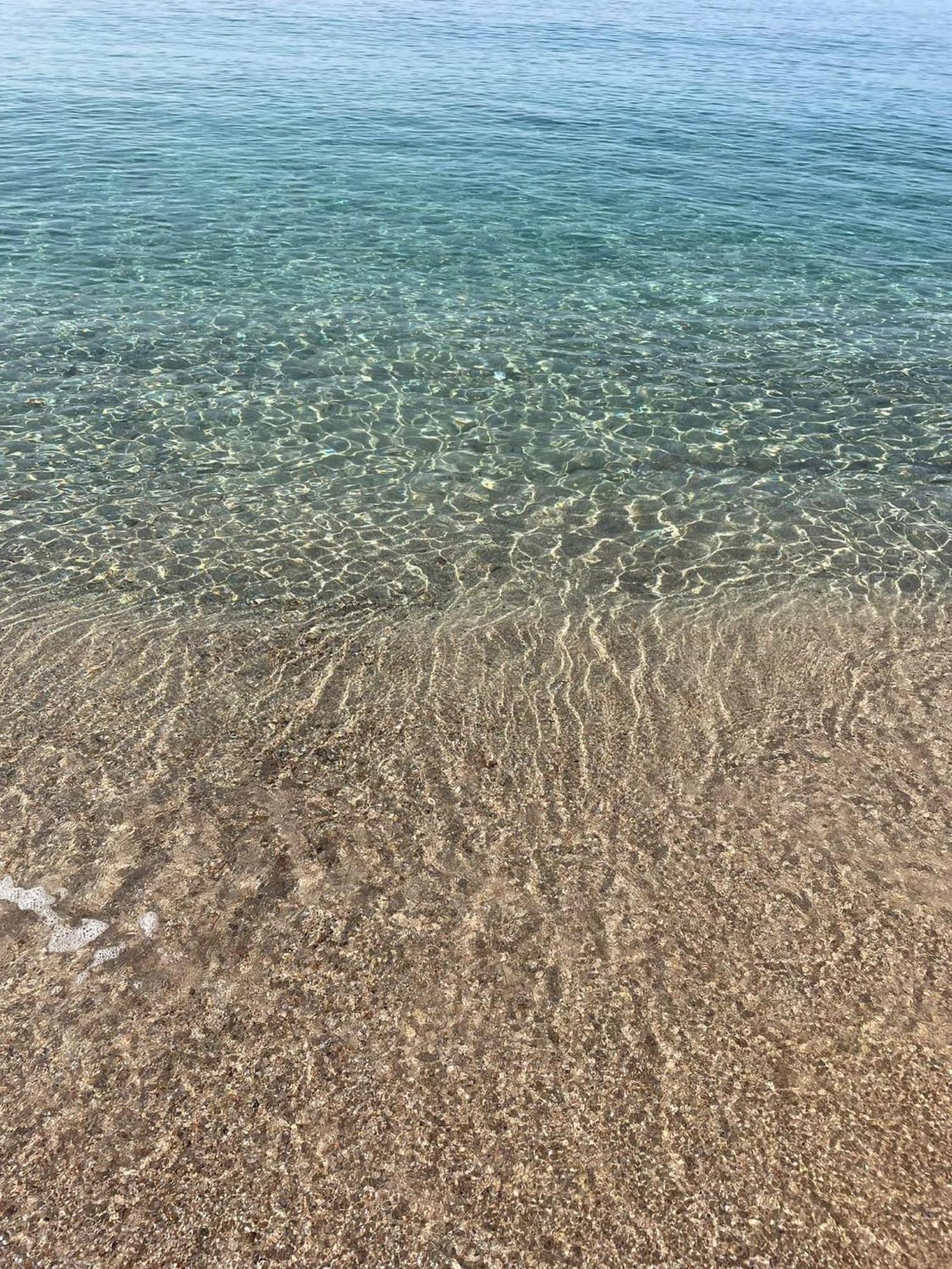 La Belle Vie F4 Bord De Plage Avec Jardin Calcatoggio  Εξωτερικό φωτογραφία