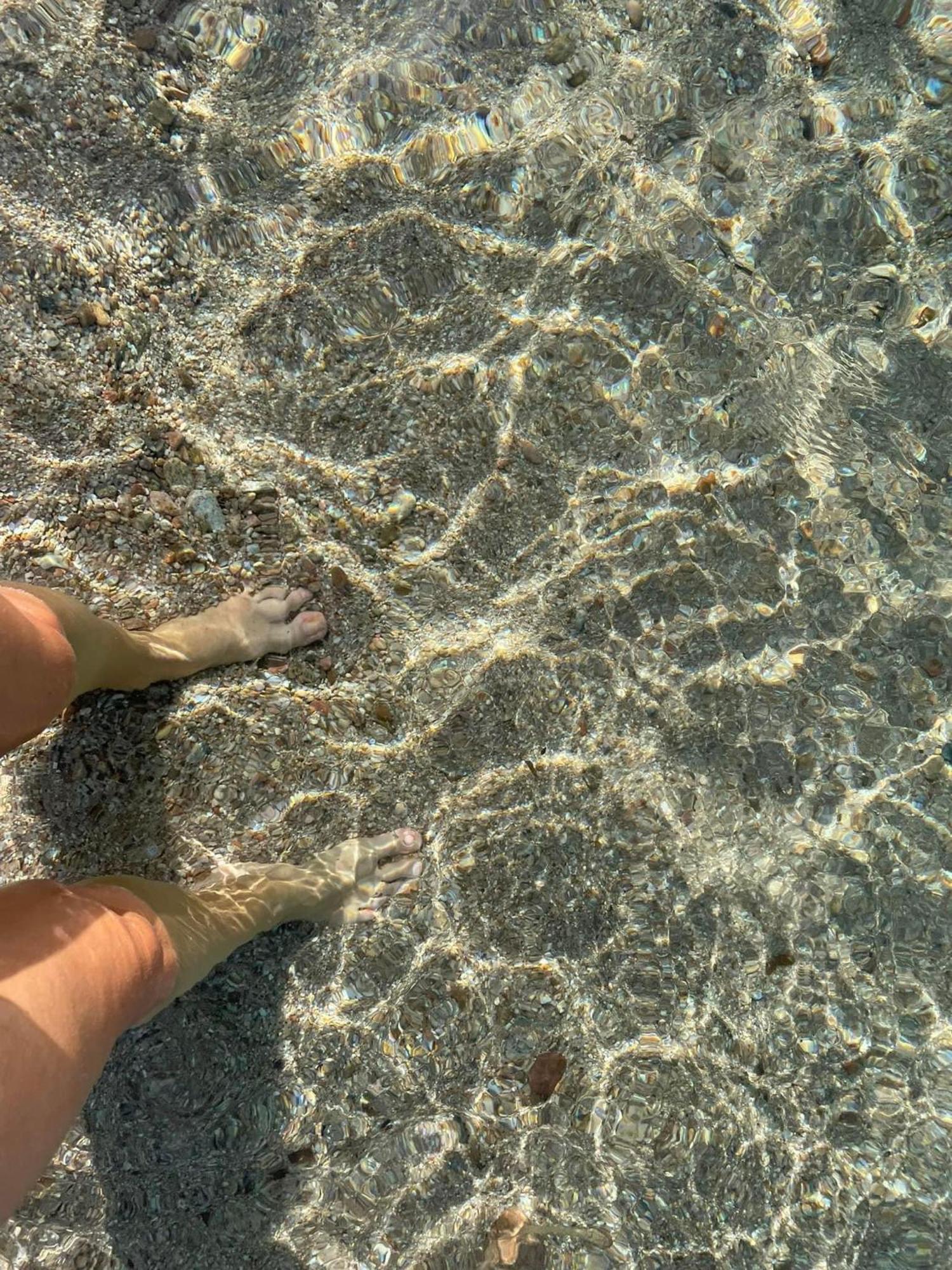 La Belle Vie F4 Bord De Plage Avec Jardin Calcatoggio  Εξωτερικό φωτογραφία